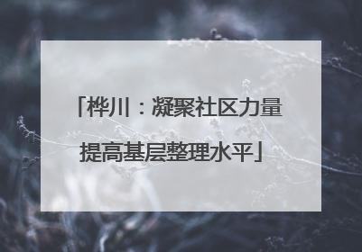 桦川：凝聚社区力量 提高基层整理水平