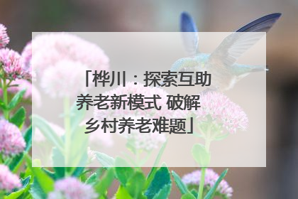 桦川：探索互助养老新模式 破解乡村养老难题