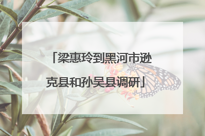 梁惠玲到黑河市逊克县和孙吴县调研