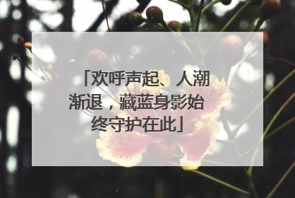 欢呼声起、人潮渐退，藏蓝身影始终守护在此