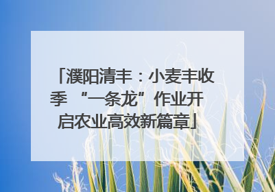 濮阳清丰：小麦丰收季 “一条龙”作业开启农业高效新篇章