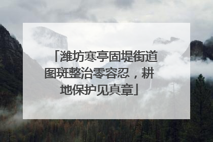 潍坊寒亭固堤街道图斑整治零容忍，耕地保护见真章