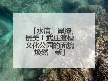 水清、岸绿、景美！武庄渡槽文化公园的面貌焕然一新