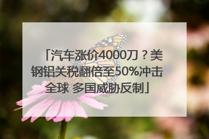 汽车涨价4000刀？美钢铝关税翻倍至50%冲击全球 多国威胁反制