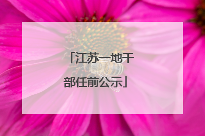江苏一地干部任前公示
