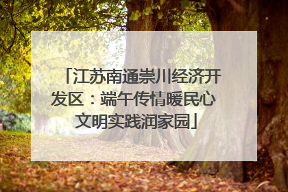 江苏南通崇川经济开发区：端午传情暖民心 文明实践润家园