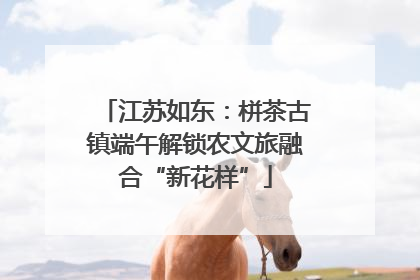 江苏如东：栟茶古镇端午解锁农文旅融合“新花样”