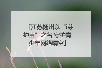 江苏扬州以“i芽护苗”之名 守护青少年网络晴空