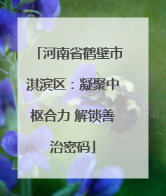 河南省鹤壁市淇滨区：凝聚中枢合力 解锁善治密码