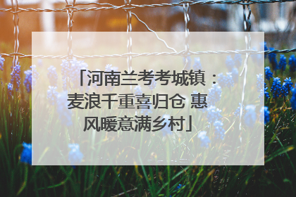 河南兰考考城镇：麦浪千重喜归仓 惠风暖意满乡村