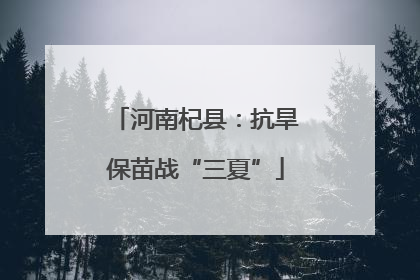 河南杞县：抗旱保苗战“三夏”