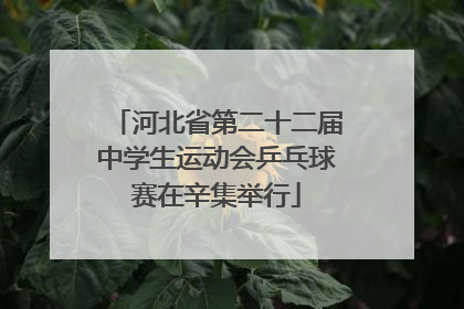河北省第二十二届中学生运动会乒乓球赛在辛集举行