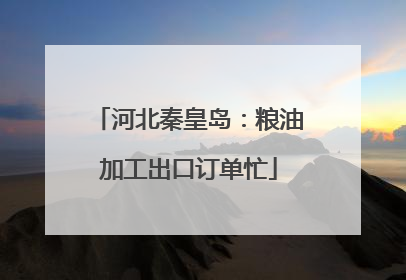 河北秦皇岛：粮油加工出口订单忙
