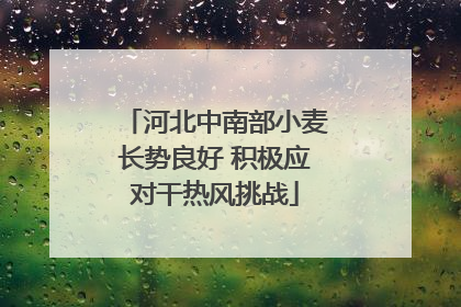 河北中南部小麦长势良好 积极应对干热风挑战