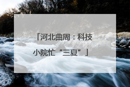 河北曲周：科技小院忙“三夏”