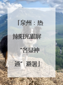 泉州：热辣阳光霸屏 “各显神通”避暑