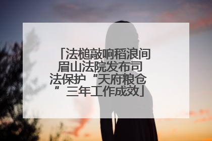 法槌敲响稻浪间 眉山法院发布司法保护“天府粮仓”三年工作成效