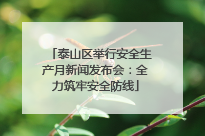 泰山区举行安全生产月新闻发布会：全力筑牢安全防线