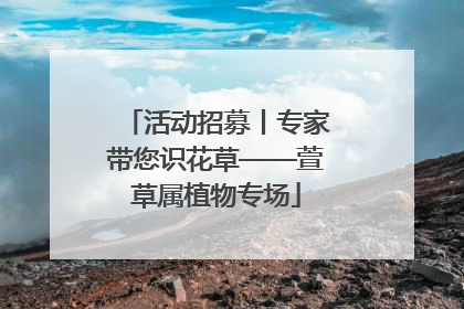 活动招募丨专家带您识花草——萱草属植物专场