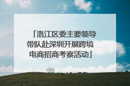 洛江区委主要领导带队赴深圳开展跨境电商招商考察活动