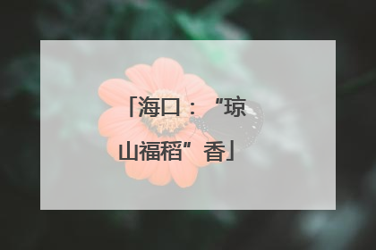 海口：“琼山福稻”香
