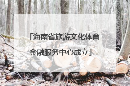 海南省旅游文化体育金融服务中心成立