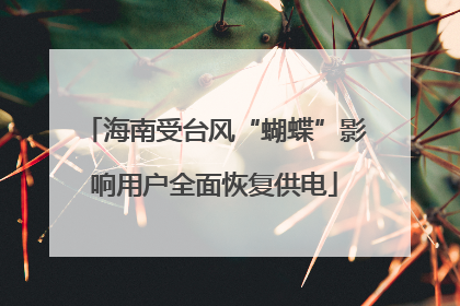 海南受台风“蝴蝶”影响用户全面恢复供电