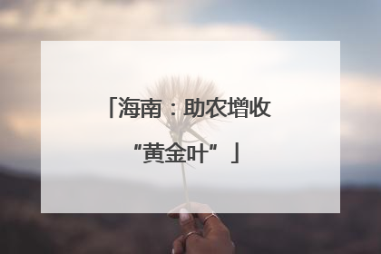 海南：助农增收 “黄金叶”