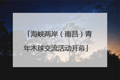 海峡两岸（南昌）青年木球交流活动开幕