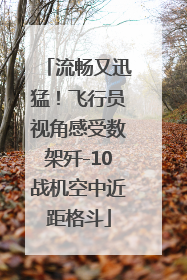 流畅又迅猛！飞行员视角感受数架歼-10战机空中近距格斗