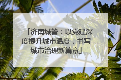 济南城管：以党建深度提升城市温度，书写城市治理新篇章