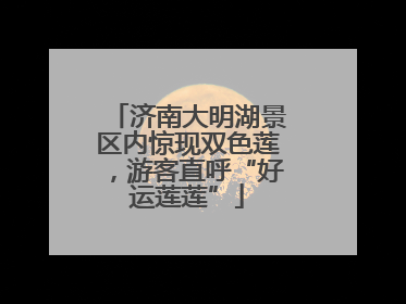 济南大明湖景区内惊现双色莲，游客直呼“好运莲莲”