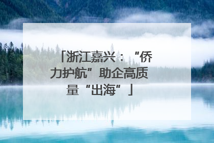 浙江嘉兴：“侨力护航”助企高质量“出海”