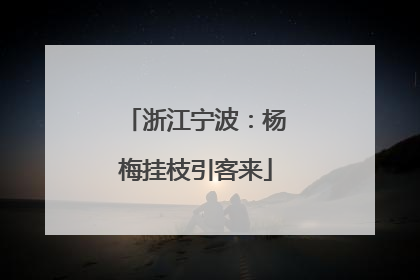 浙江宁波：杨梅挂枝引客来