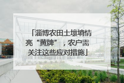 淄博农田土壤墒情亮“黄牌”，农户需关注这些应对措施