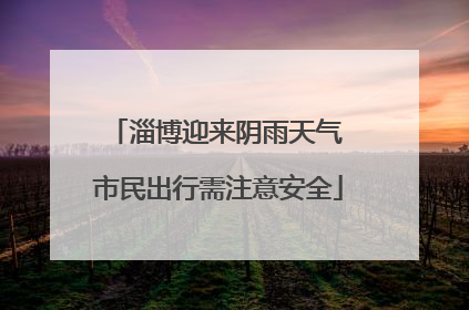 淄博迎来阴雨天气 市民出行需注意安全
