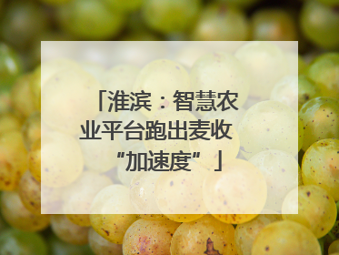 淮滨：智慧农业平台跑出麦收“加速度”