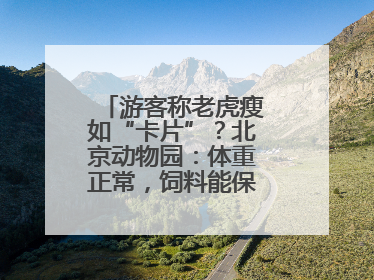 游客称老虎瘦如“卡片”？北京动物园：体重正常，饲料能保障营养需求
