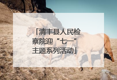 清丰县人民检察院迎“七一”主题系列活动