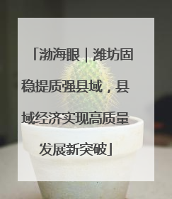 渤海眼｜潍坊固稳提质强县域，县域经济实现高质量发展新突破
