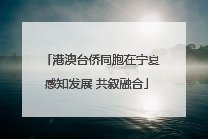 港澳台侨同胞在宁夏感知发展 共叙融合