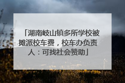 湖南岐山镇多所学校被摊派校车费，校车办负责人：可找社会赞助