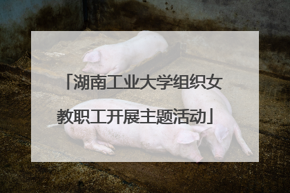 湖南工业大学组织女教职工开展主题活动