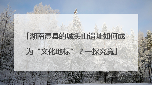 湖南澧县的城头山遗址如何成为“文化地标”？一探究竟