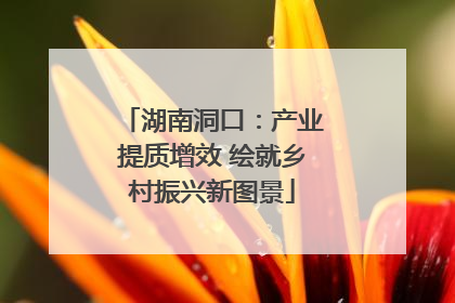湖南洞口：产业提质增效 绘就乡村振兴新图景