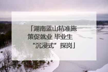 湖南蓝山精准施策促就业 毕业生“沉浸式”探岗