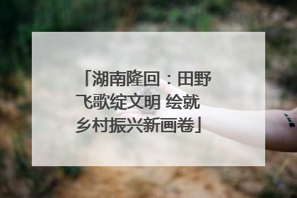 湖南隆回：田野飞歌绽文明 绘就乡村振兴新画卷