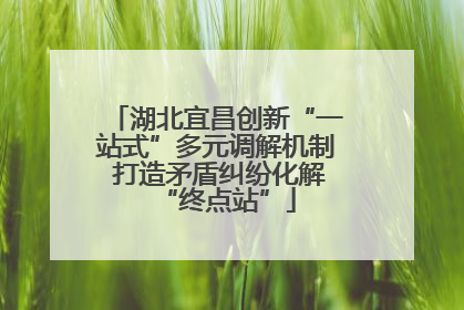 湖北宜昌创新“一站式”多元调解机制 打造矛盾纠纷化解“终点站”