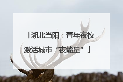 湖北当阳：青年夜校激活城市“夜能量”
