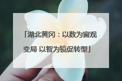 湖北黄冈：以数为窗观变局 以智为镜促转型
